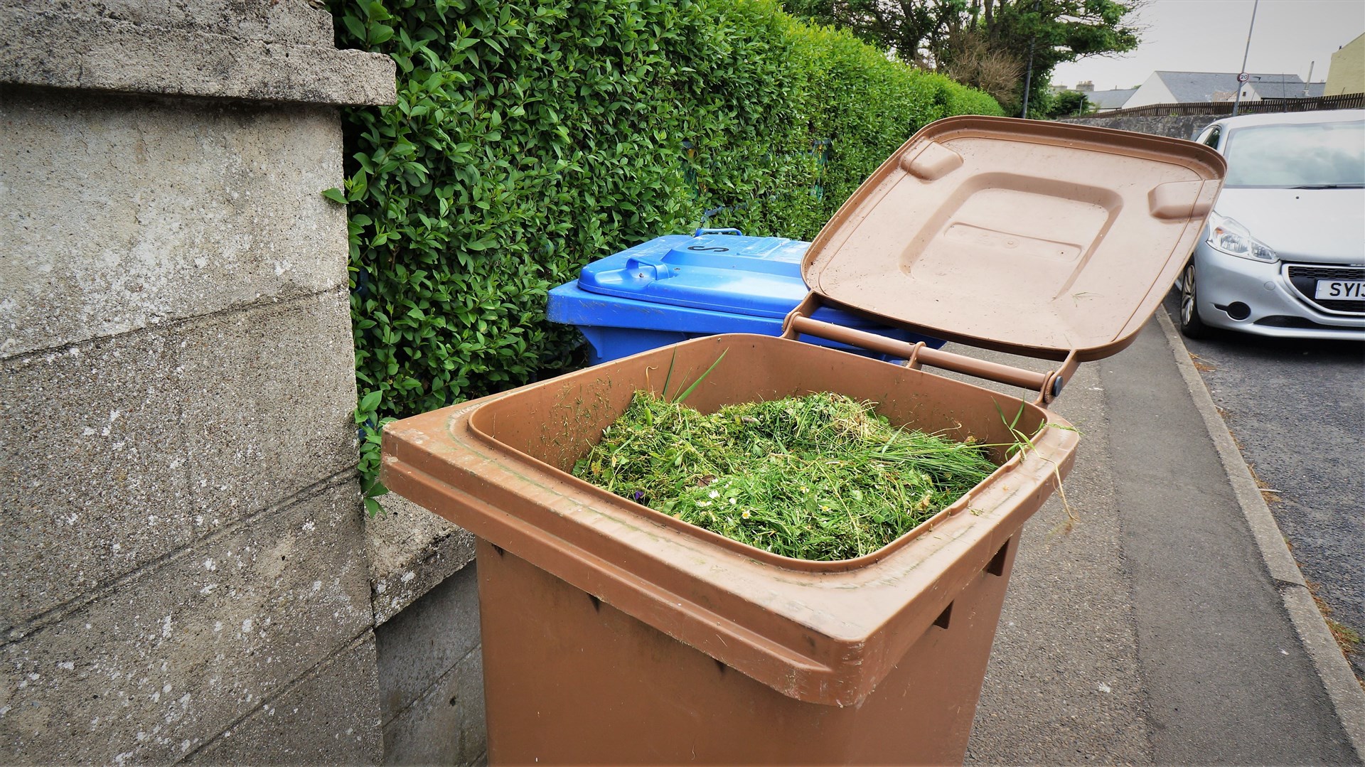 Garden waste bin in Wick. Picture: DGS