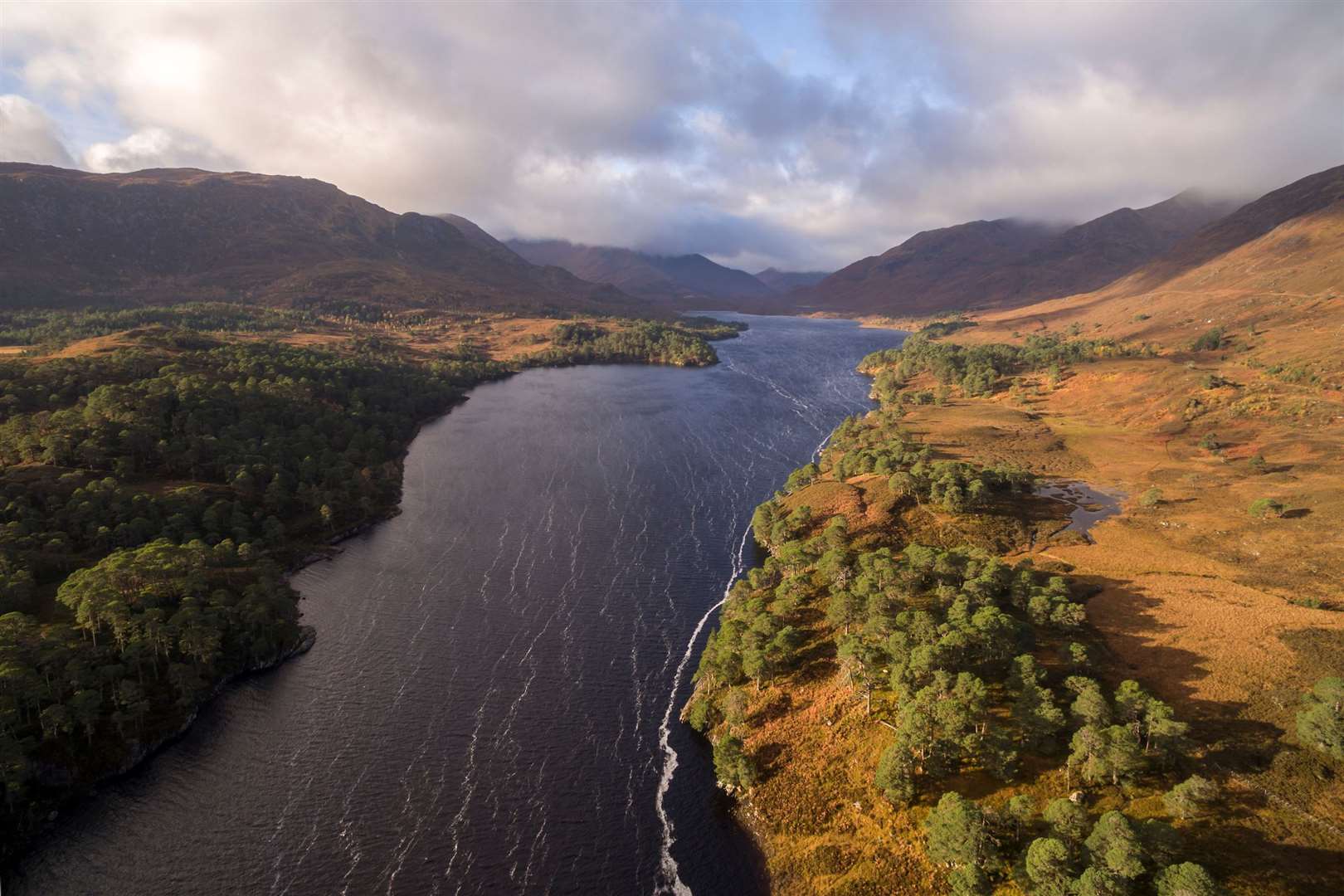 Scots pine and birch trees scatter the landscape by Loch Affric, Scotland.