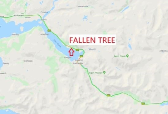 The tree fell on a section of the A87 next to Loch Duich. Picture: Traffic Scotland.