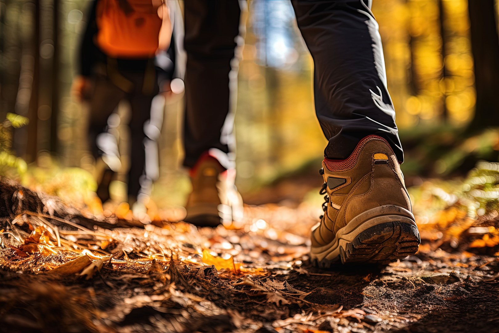 More walking could be an objective worth thinking about.