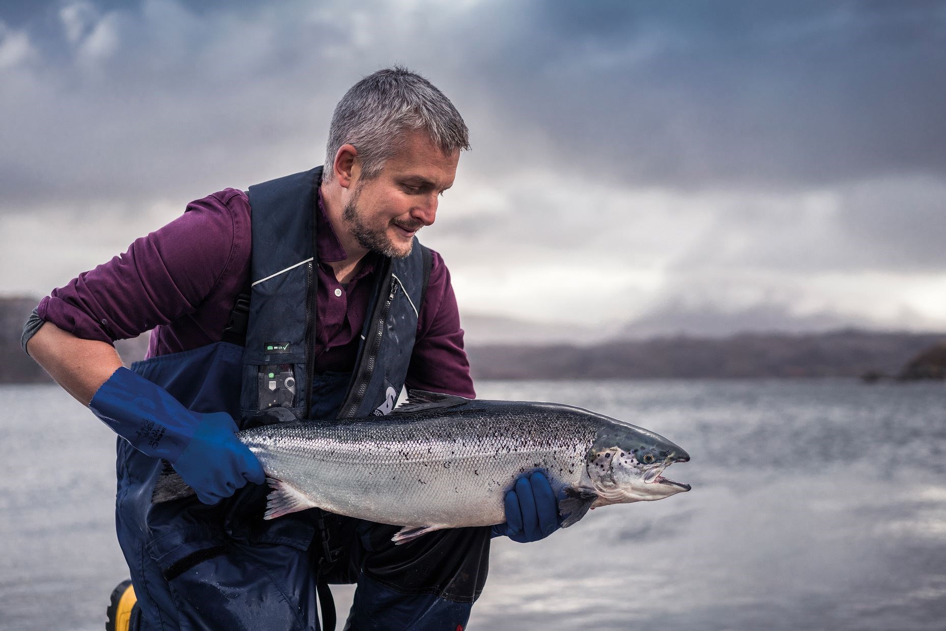 Wayne Davis, Production Controller, Loch Duart inspecting a salmon