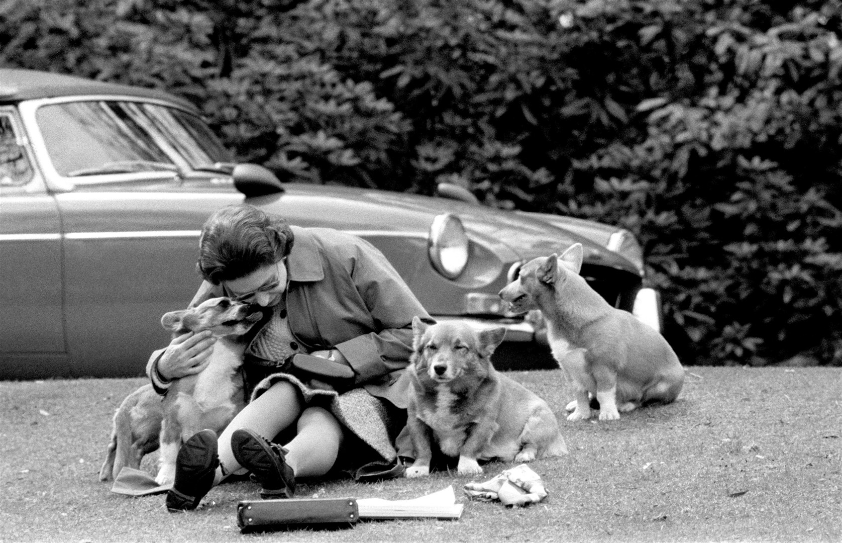 The Queen and her dogs in 1973 (PA)