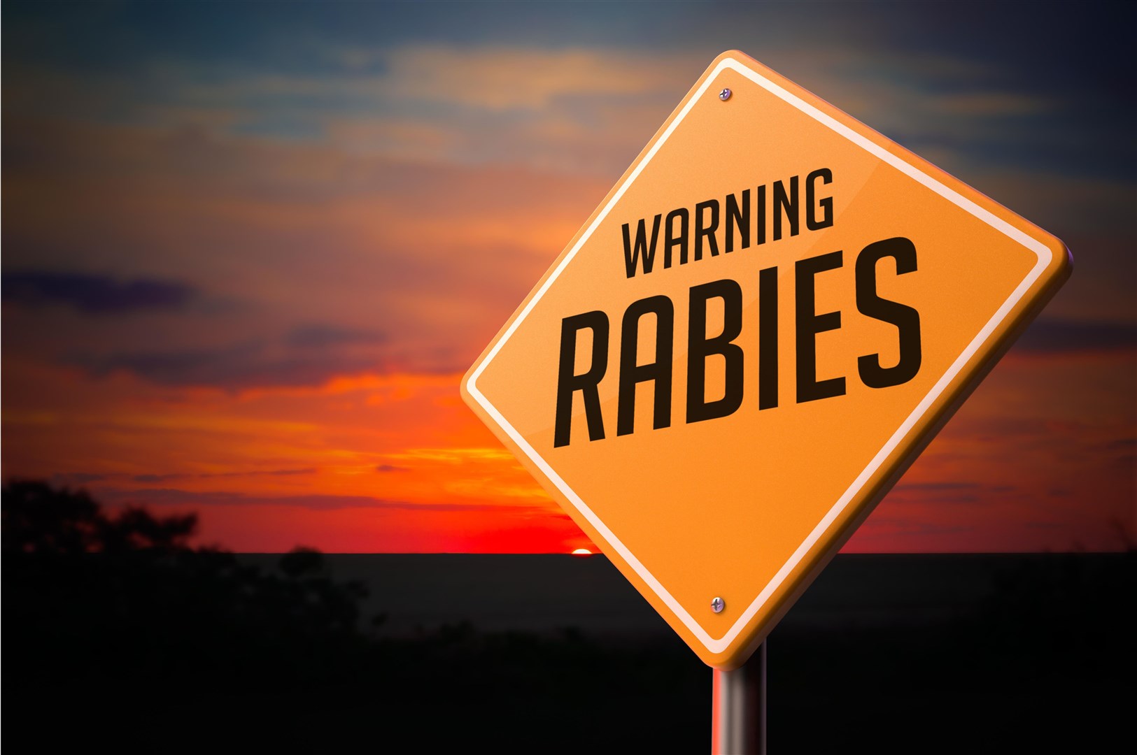 Tens of thousands of rabies deaths occur annually around the world (Alamy/PA)