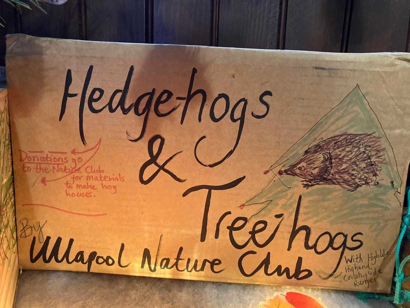 The Ullapool Nature Club's Hedgehogs and Treehogs project. Picture: High Life Highland.