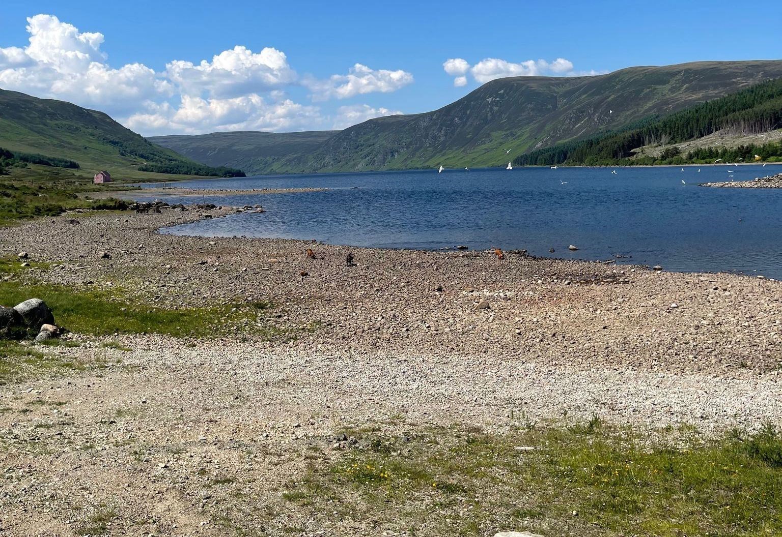 Easter Ross dog walker’s before and after pictures reveal extent of water drop at beautiful Loch Glass