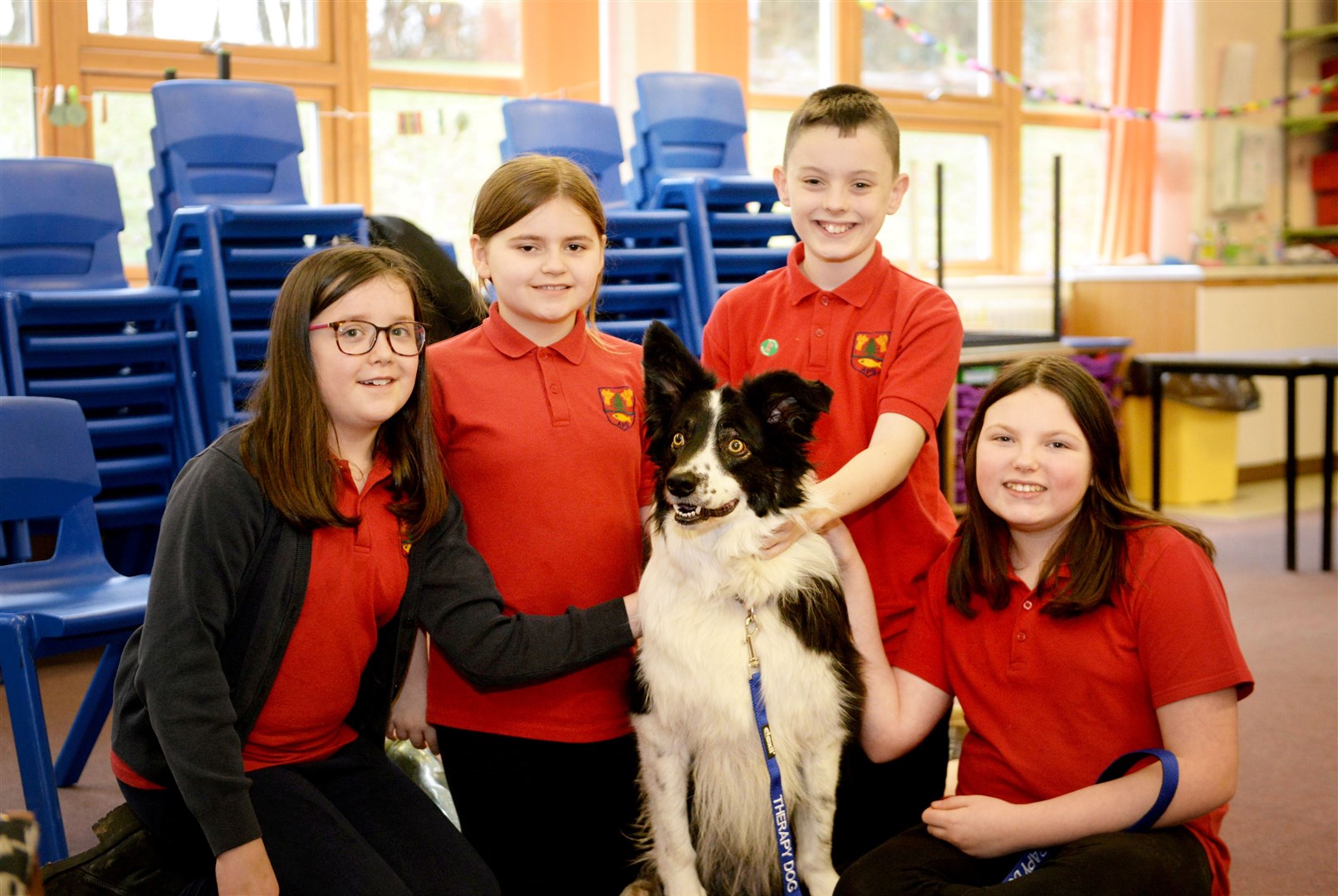 Murphy the therapy dog visits Avoch Primary School..Avoch Primary children with Murphy the dog..Picture: James MacKenzie..