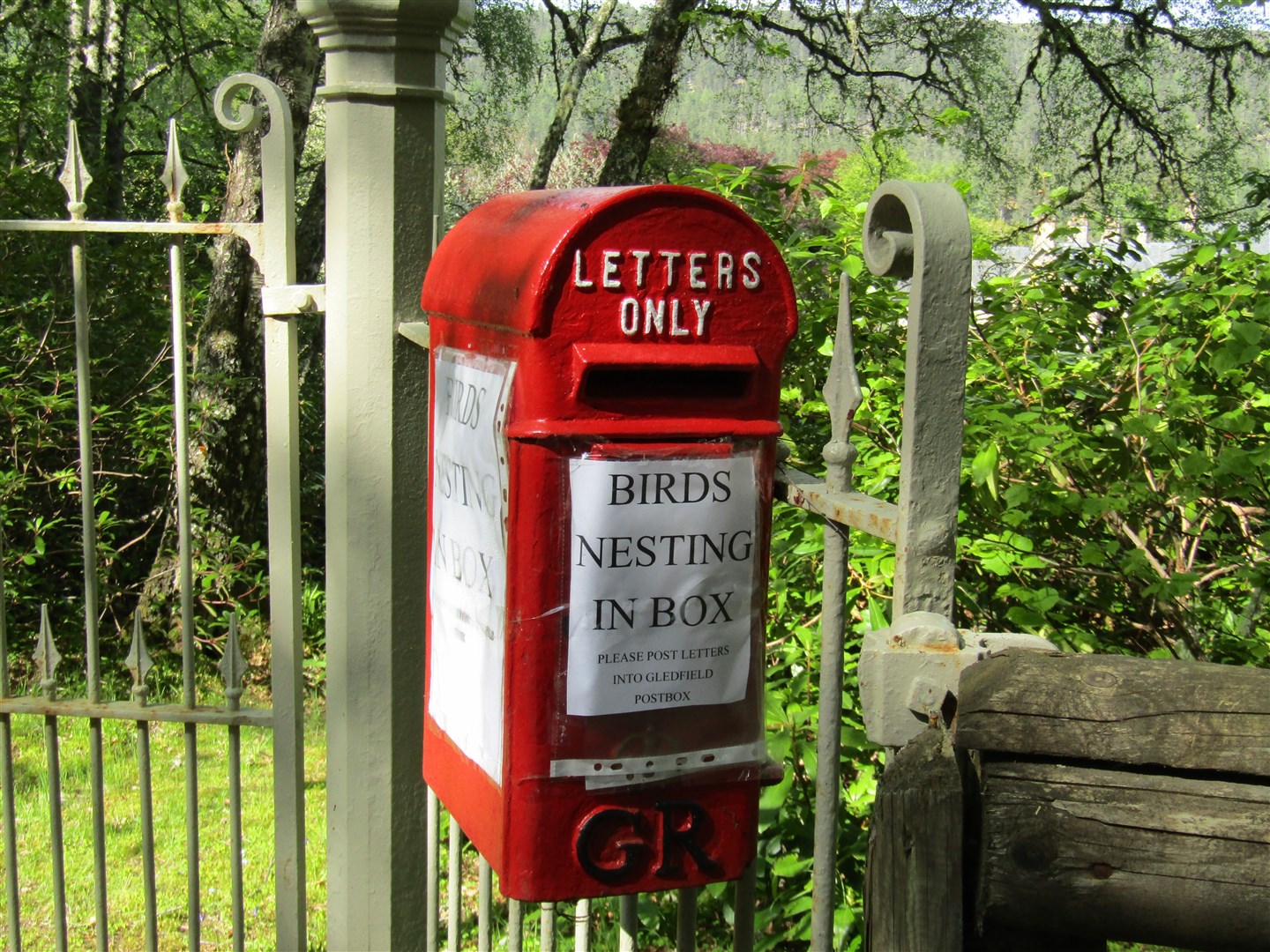 Great tits have been seen flying in and out of the post box.
