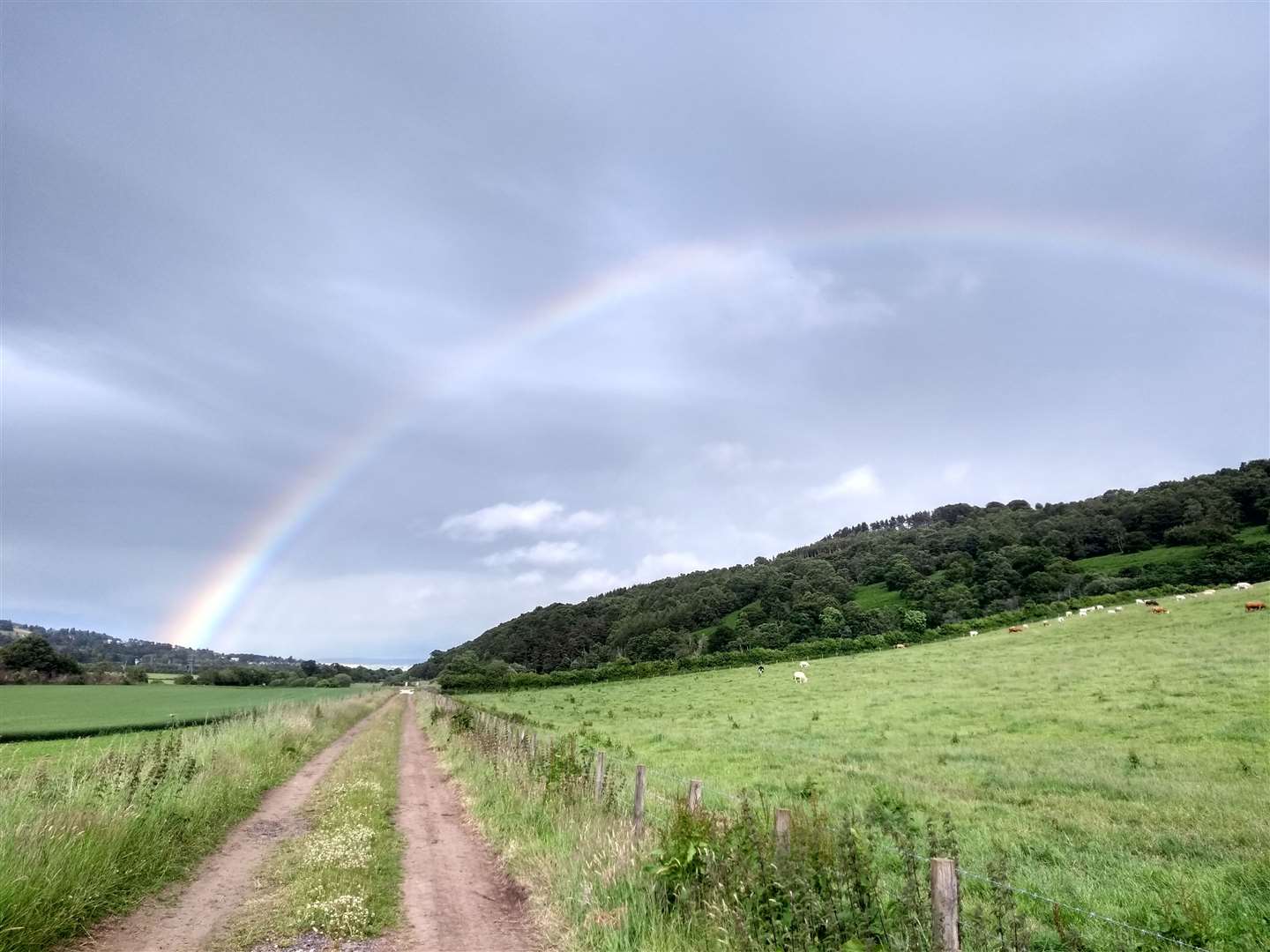 A rainbow over Dingwall as seen from the Peffery Way at Fodderty. Picutre by Angela Radin.
