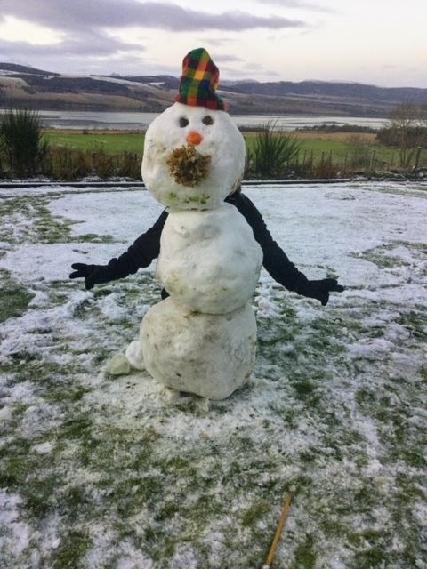 A cheeky snowman during the recent cold snap in Culbokie. Picture: Janice Ross