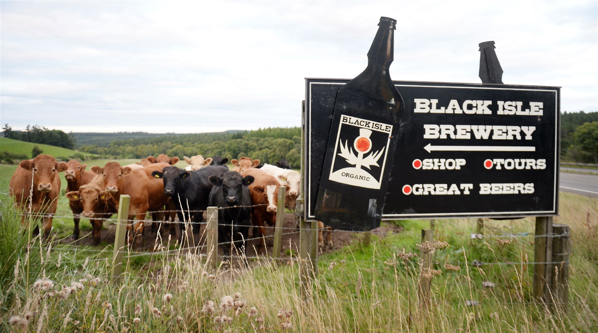 Black Isle Brewery prides itself on its organic credentials.
