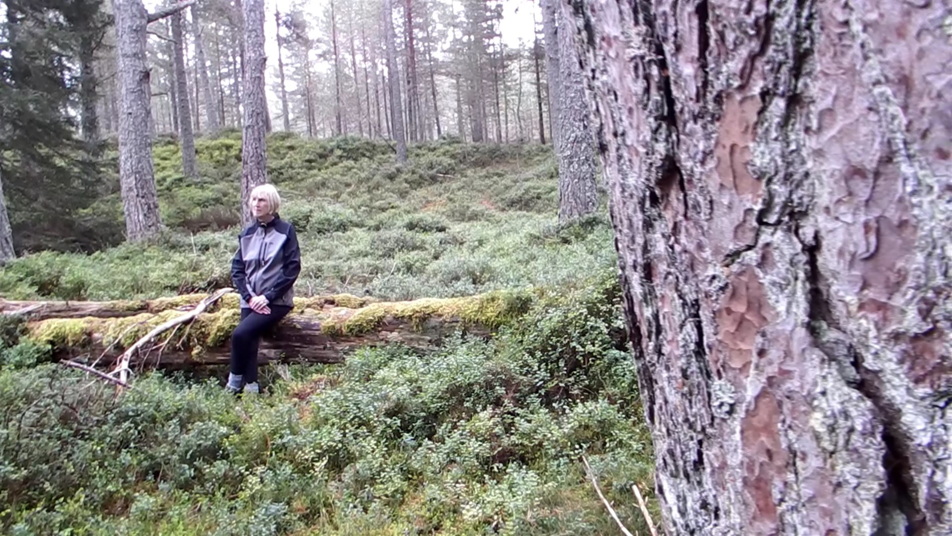 Writer Lin Anderson in the wood at Carrbridge.