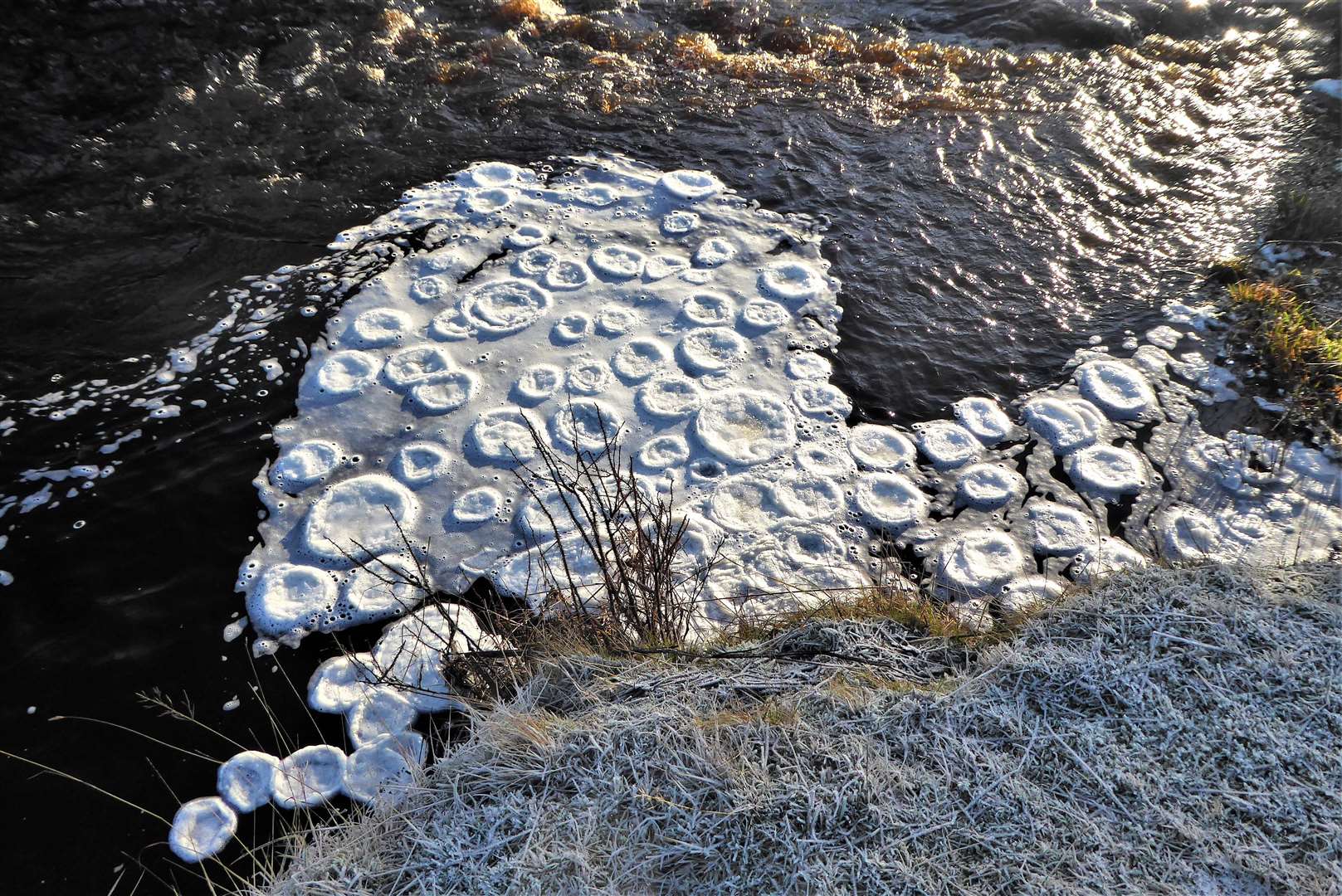Ice pancakes are formed when there is fast flowing water next to slower moving water and the surface foam freezes.  Image: DGS