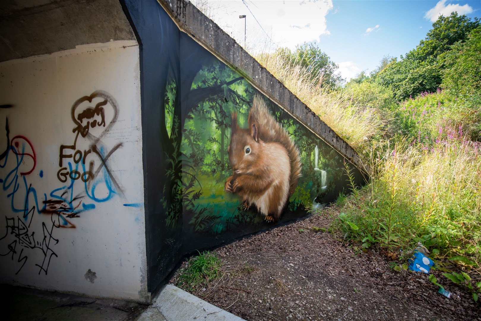 A squirrel next to soon to be covered graffiti
