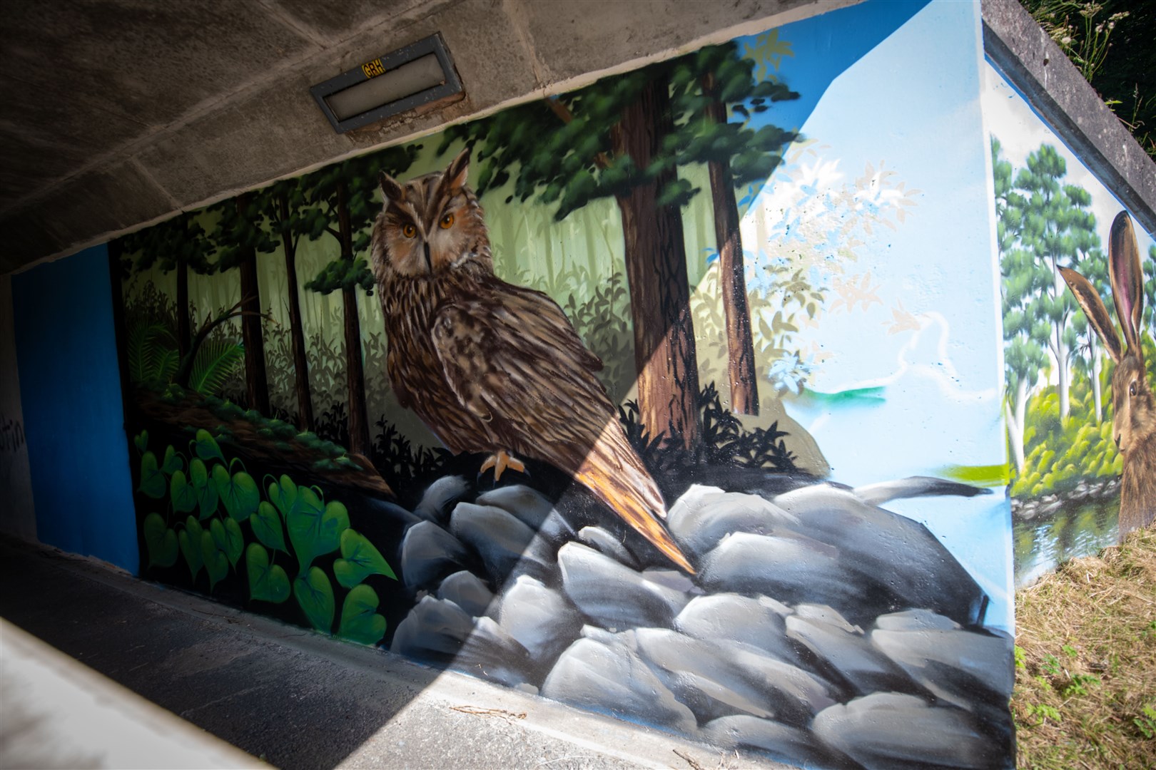 An owl keeps watch within the underpass.