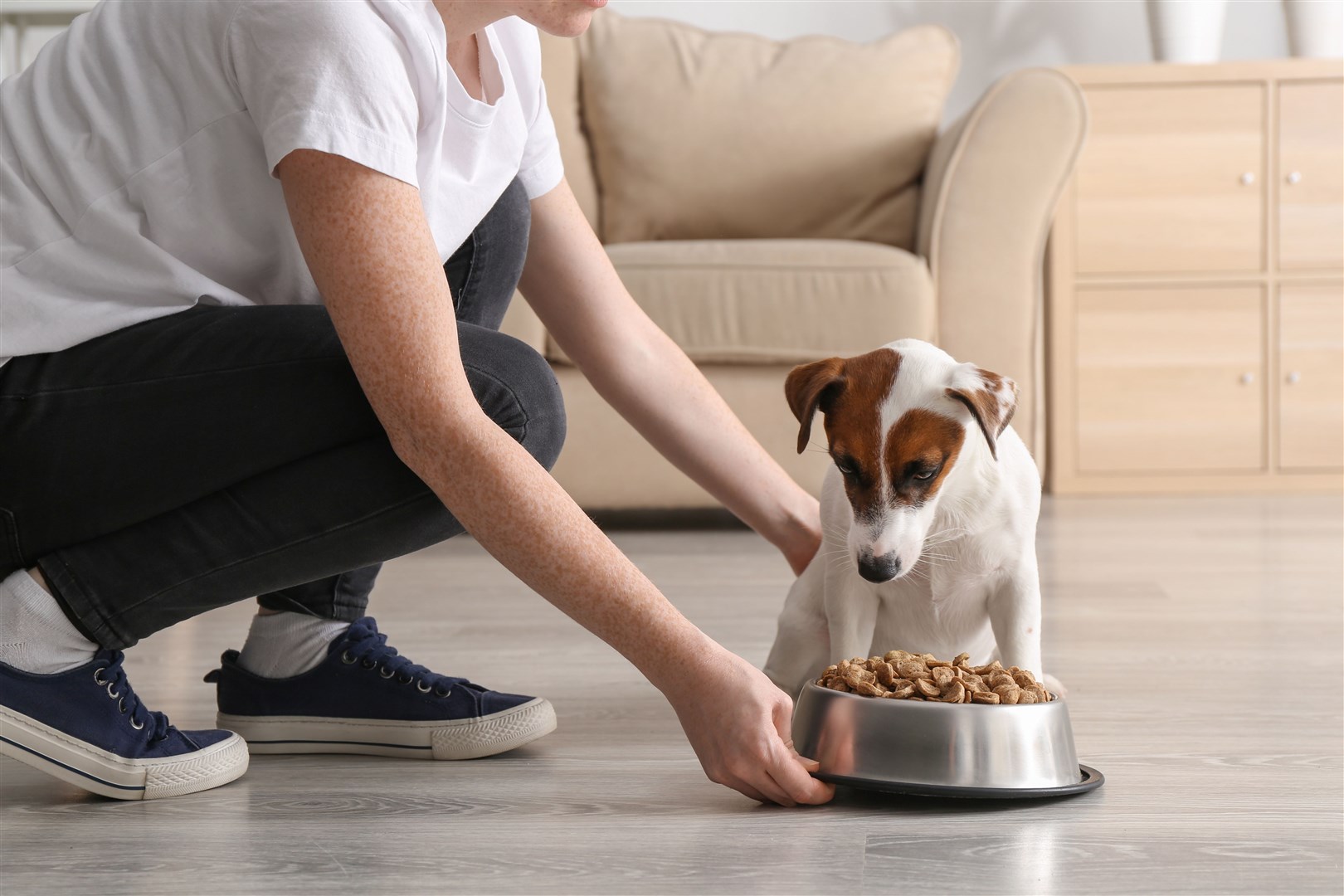 Ensuring your pet is fed the correct diet, and quantity of food, is vital in order to avoid obesity.