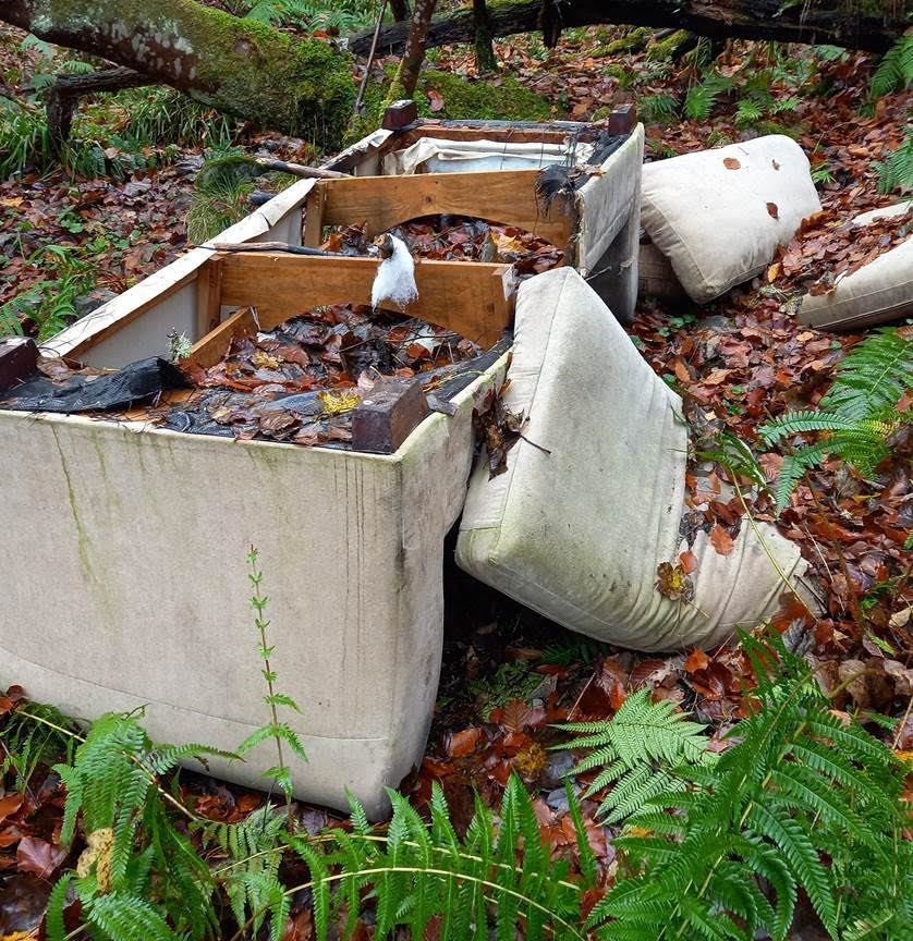 A couch was abandoned at Fairy Glen near Rosemarkie.