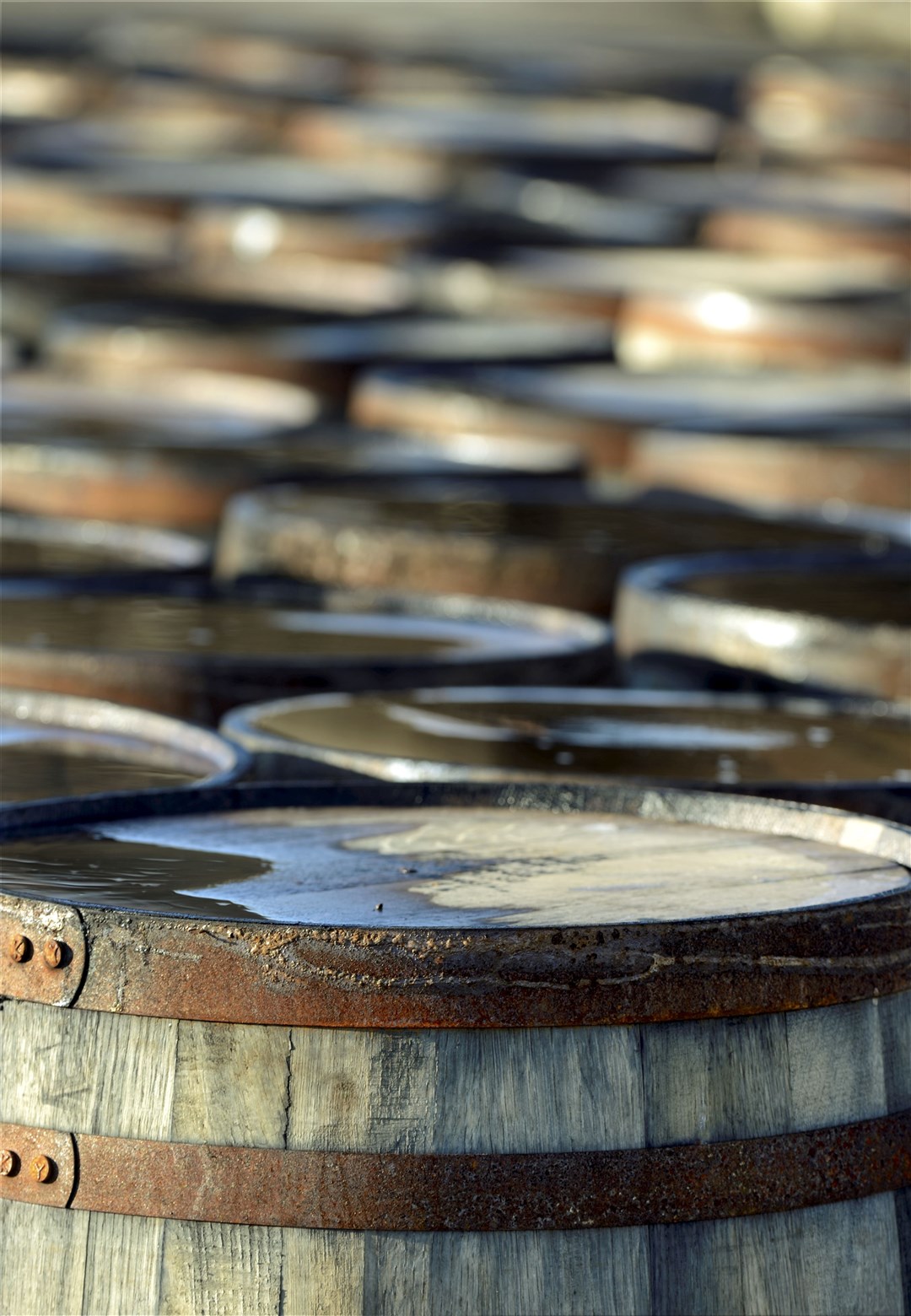 Whisky casks at the Dalmore Distillery.Picture: Gary Anthony. Image No..