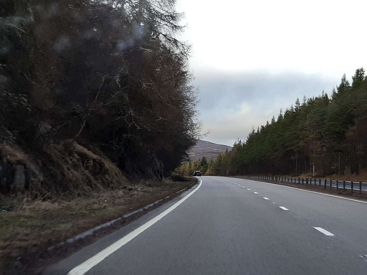 Inverness to Slochd: Trees 'too close to the road', as seen at Tomatin.
