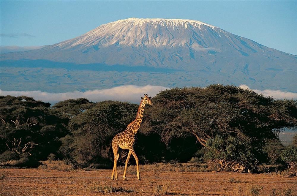 Catriona MacRae aims to climb the equivalent height of Mount Kilimanjaro.