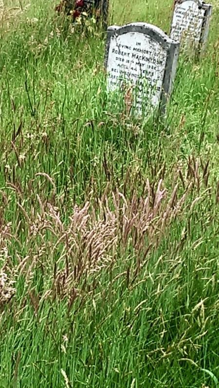 The council received a barrage of complaints about the poor standard of grass cutting in cemeteries, parks and amenity areas.