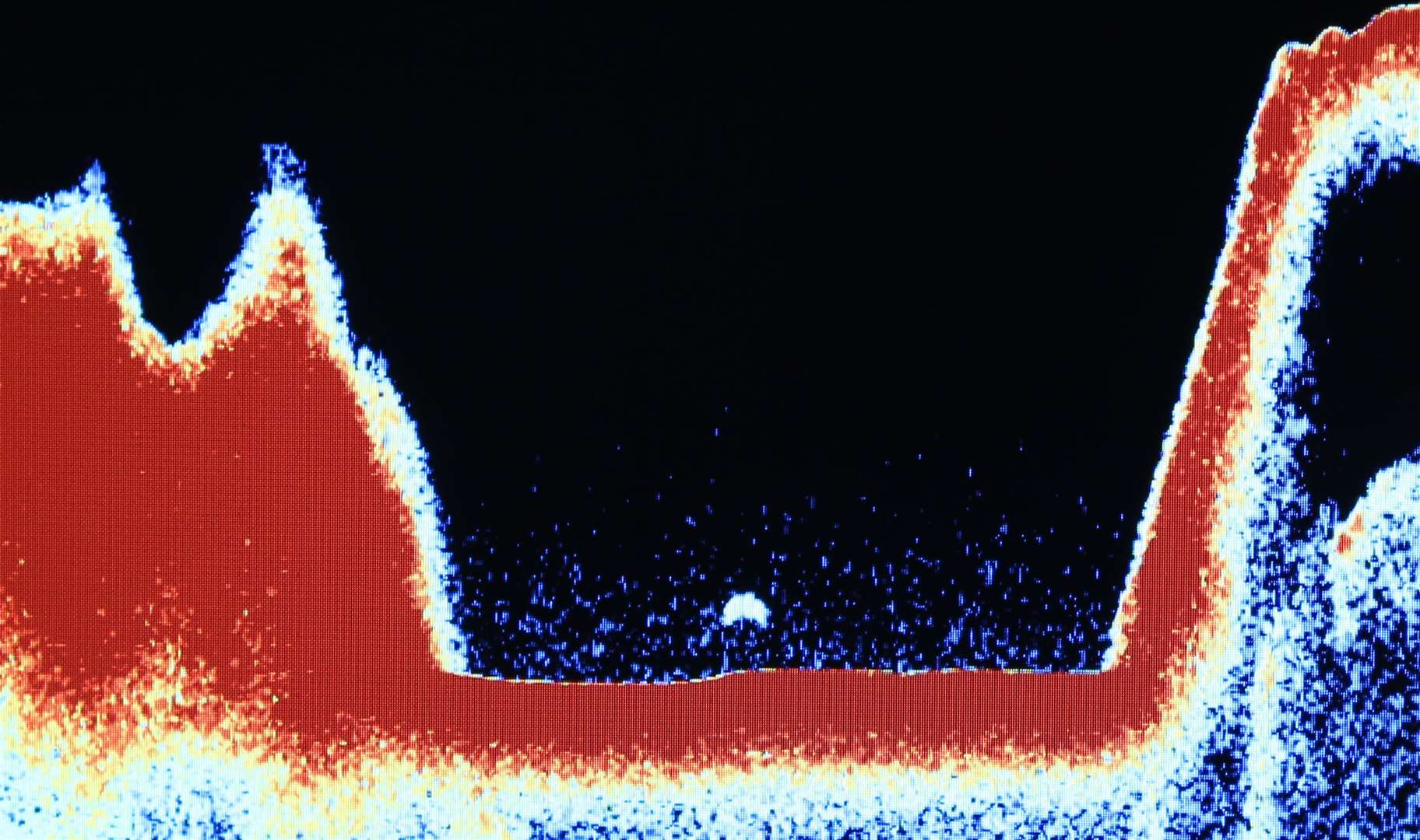 Sonar image taken at Loch Ness by tour bboat skipper Ronald Mackenzie....pic Peter Jolly