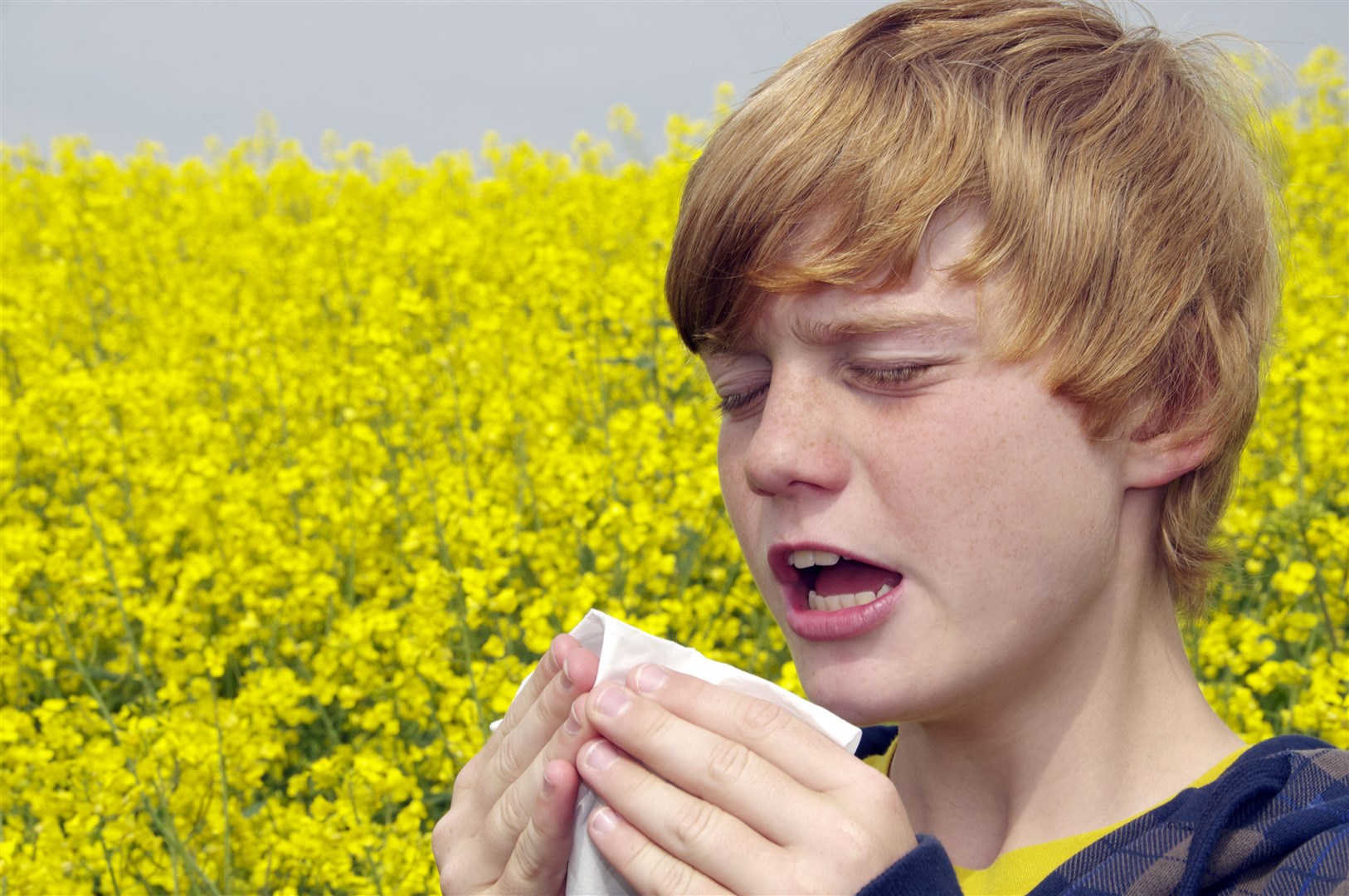 There are steps you can take to mitigate your hay fever.