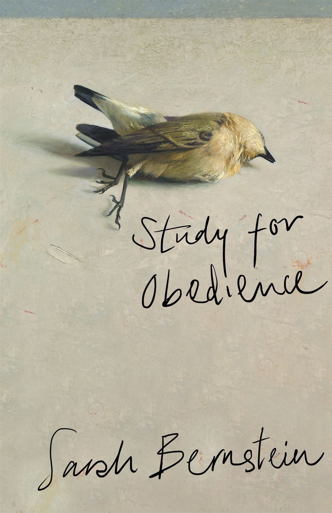 Study For Obedience by Sarah Bernstein.