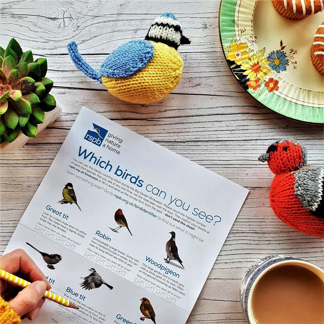 Get the special pack and fill out what you see on your birdwatch weekend. Picture: Nicky Stewart
