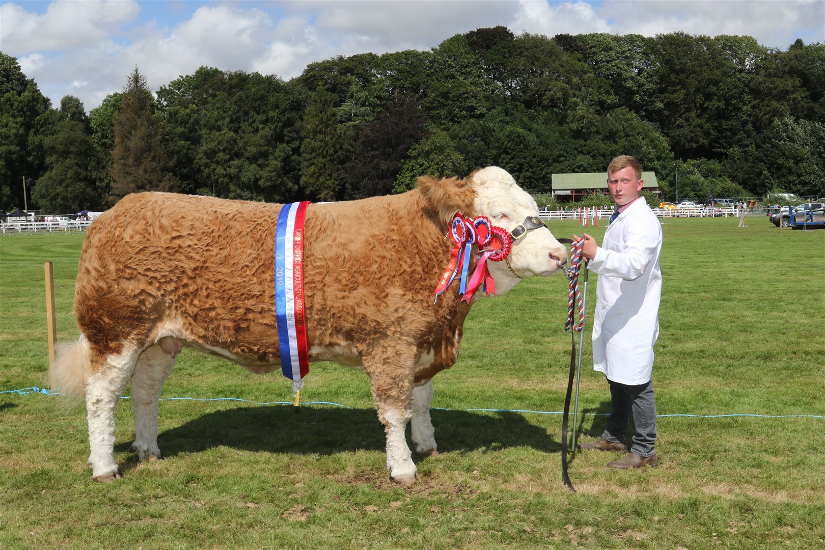 The 2019 overall cattle champion and Turriff show champion of champions Sterling FCUK Impuls from Reece and Andrew Simmers, Keith