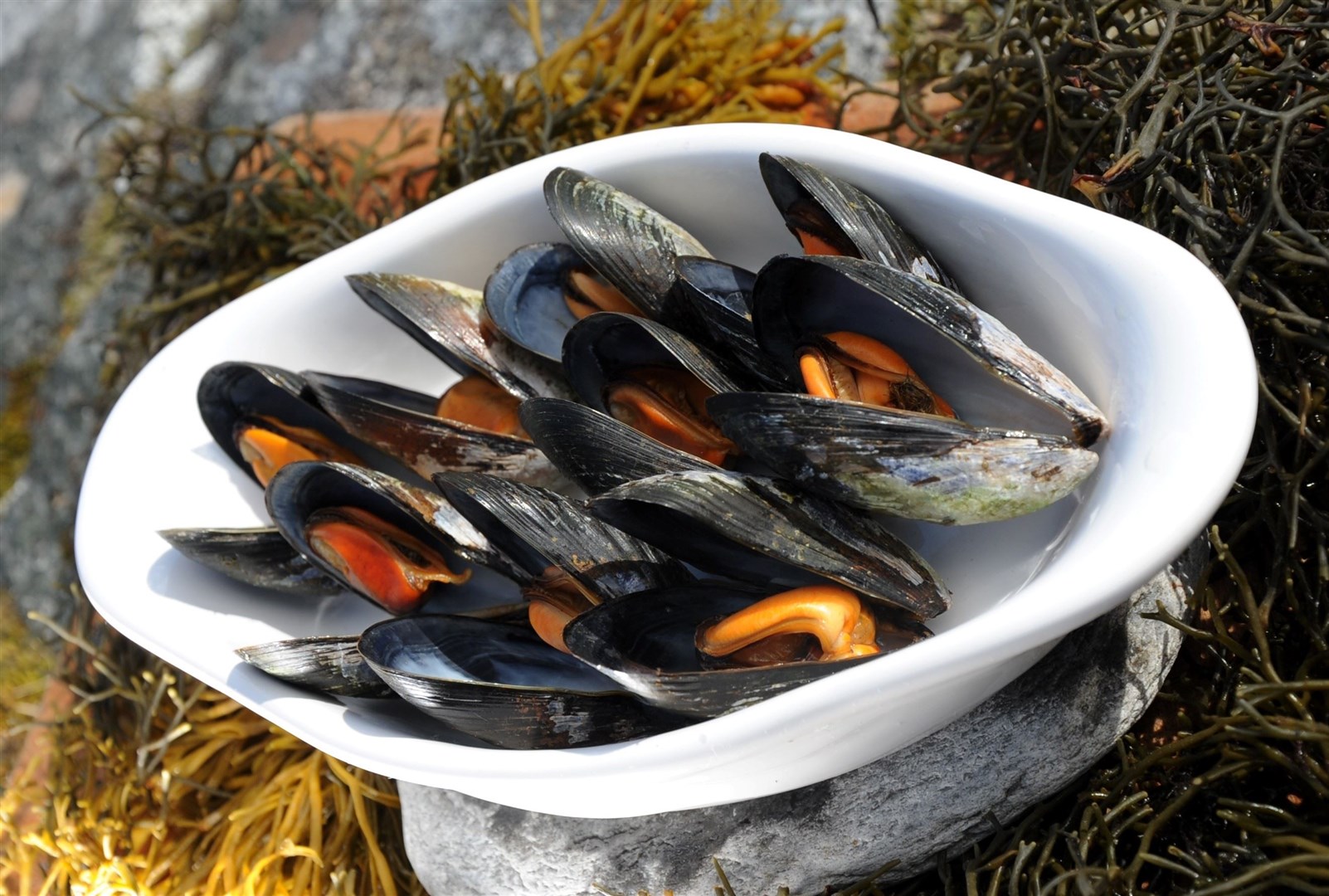 People have been advised to avoid eating certain types of shellfish from the area affected by a rise in naturally occurring algal toxins in Wester Ross until further notice.