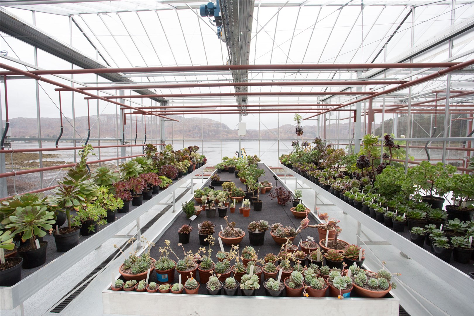 New glasshouse opening at Inverewe Gardens, Poolewe.
