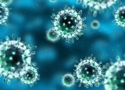The flu virus can be a serious illness, docs warn