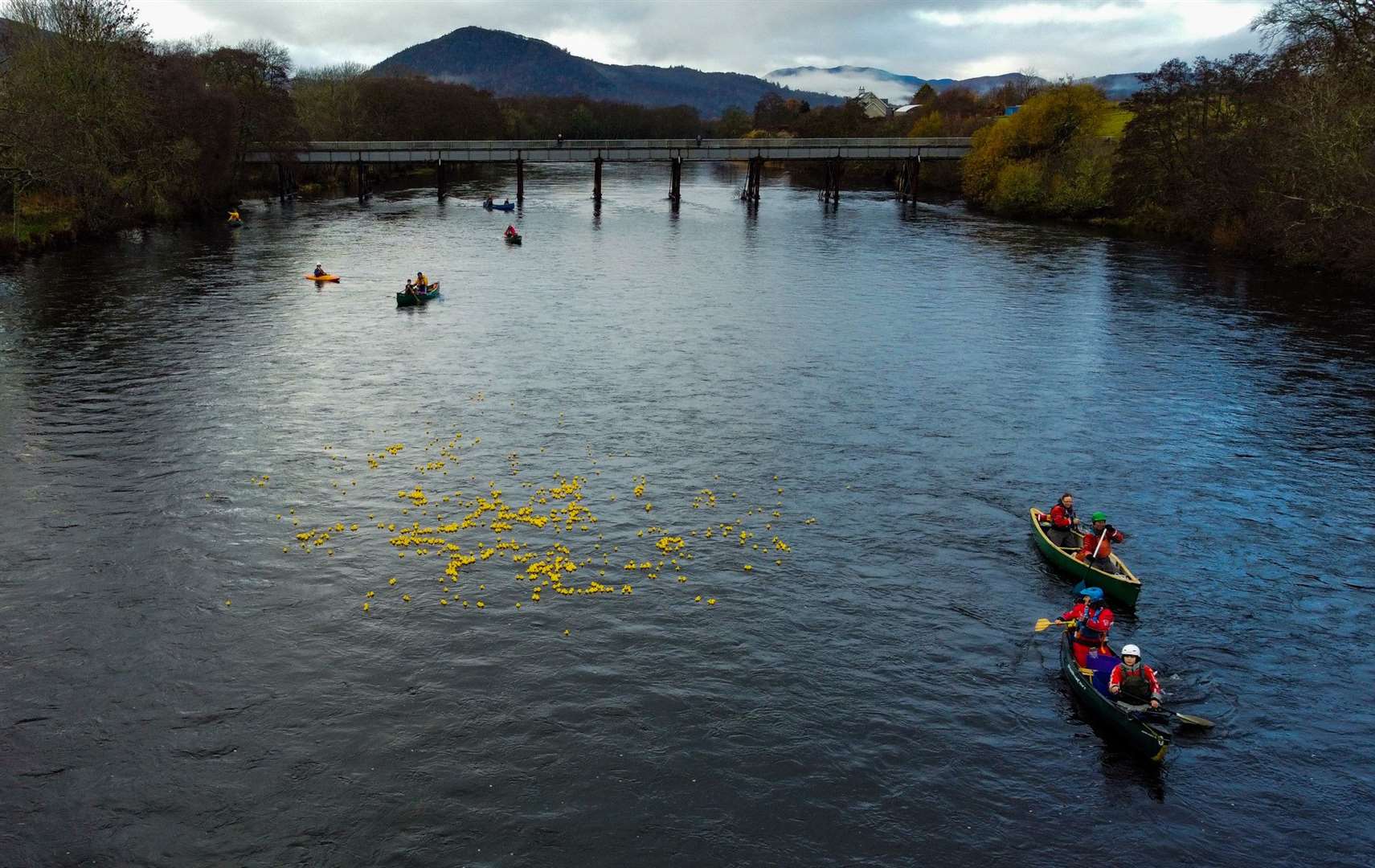 The ducks make their progress down the river. Picture courtesy George Finlayson.