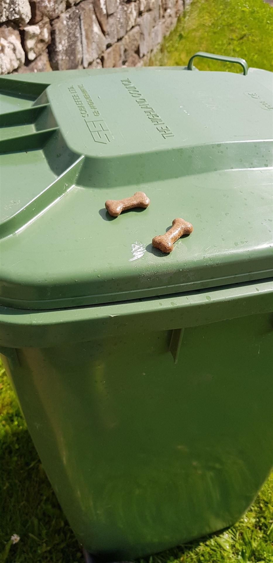 Peggy's owner was touched to see the bin men had left doggy biscuits.