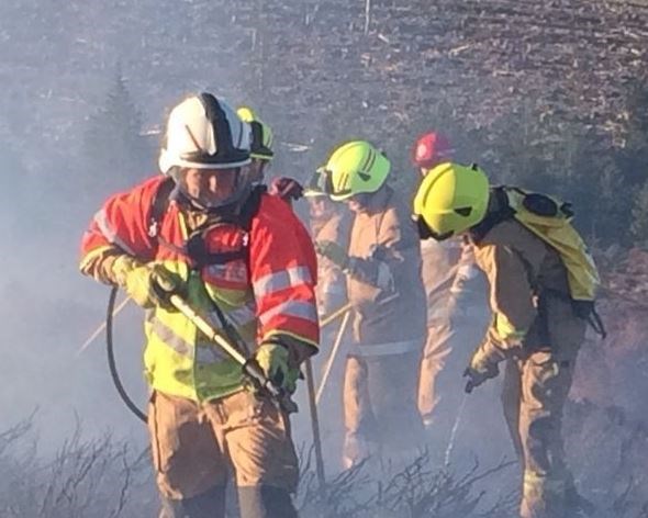 Firefighters tackling a wildfire.