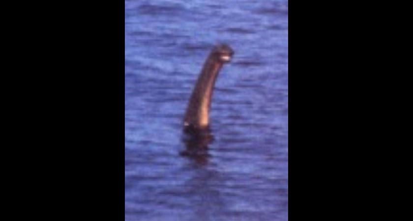 Doc Shiels' 'Loch Ness Monster' image