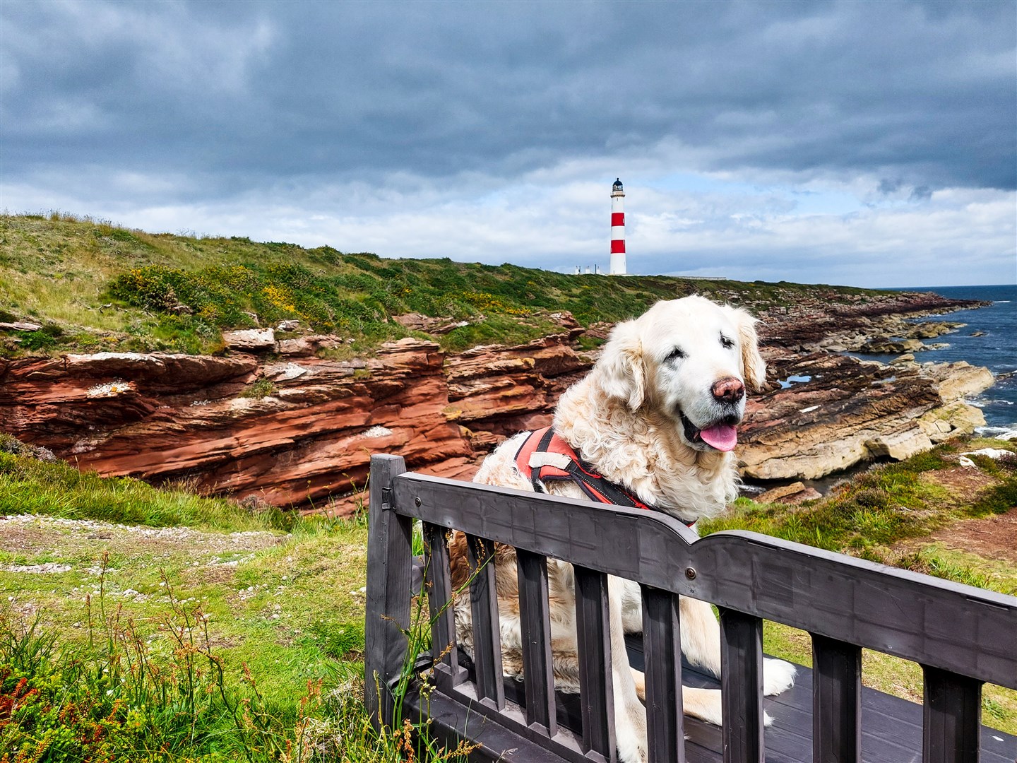 Bailey at Tarbartness light house, owner Brian Oliver.