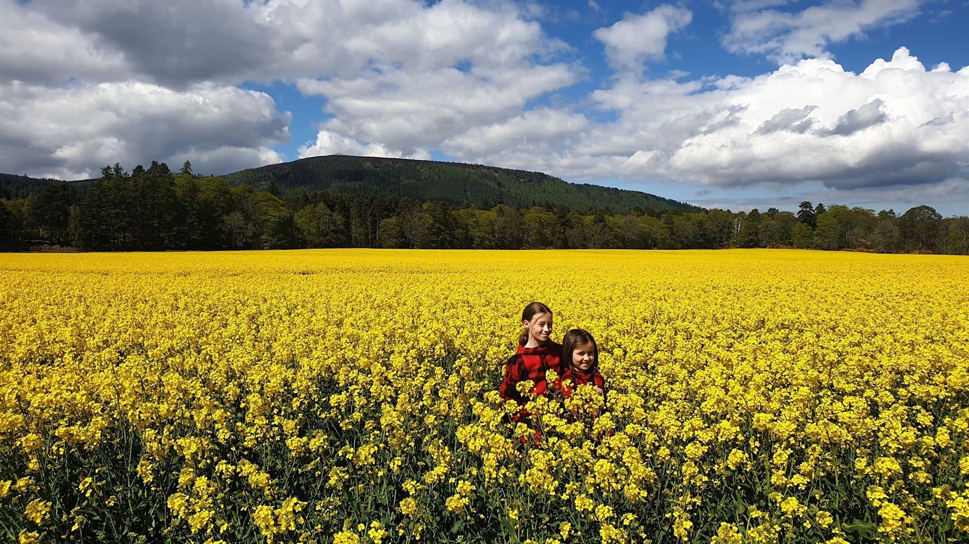 Fiona Stephenson took this lovely image of daughters Tamara and Amber in a field of rapeseed beneath Cnoc Fyrish.