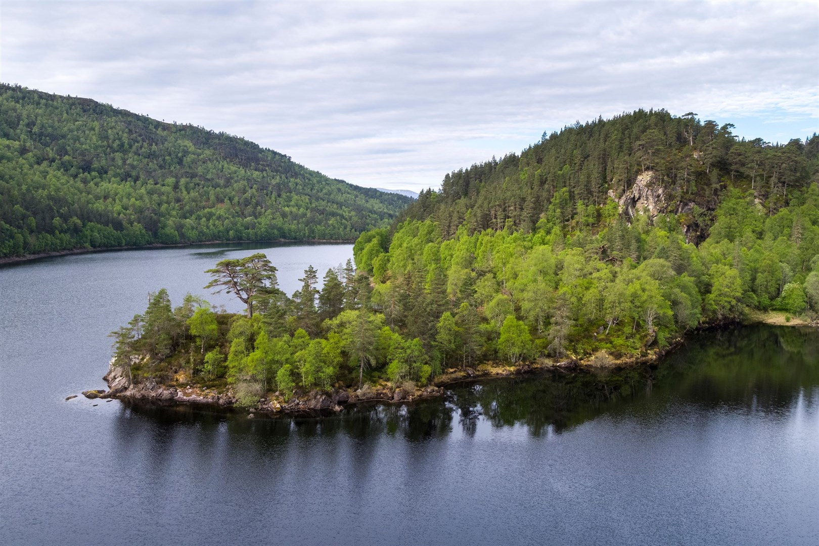 Caledonian forest surrounding Loch Beinn a Mheadhoin in Glen Affric National Nature Reserve, Scotland.