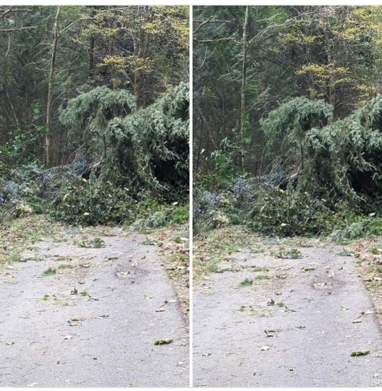 Trees blocking the road. Picture: Highland Council.