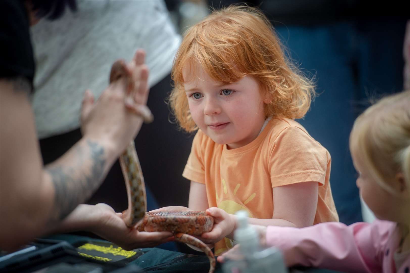 A youngster casts a wary eye over one of the visitors to Scottish Exotic Animal Rescue.