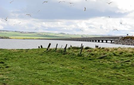The A9 Cromarty Bridge will be shut for ongoing repair work.