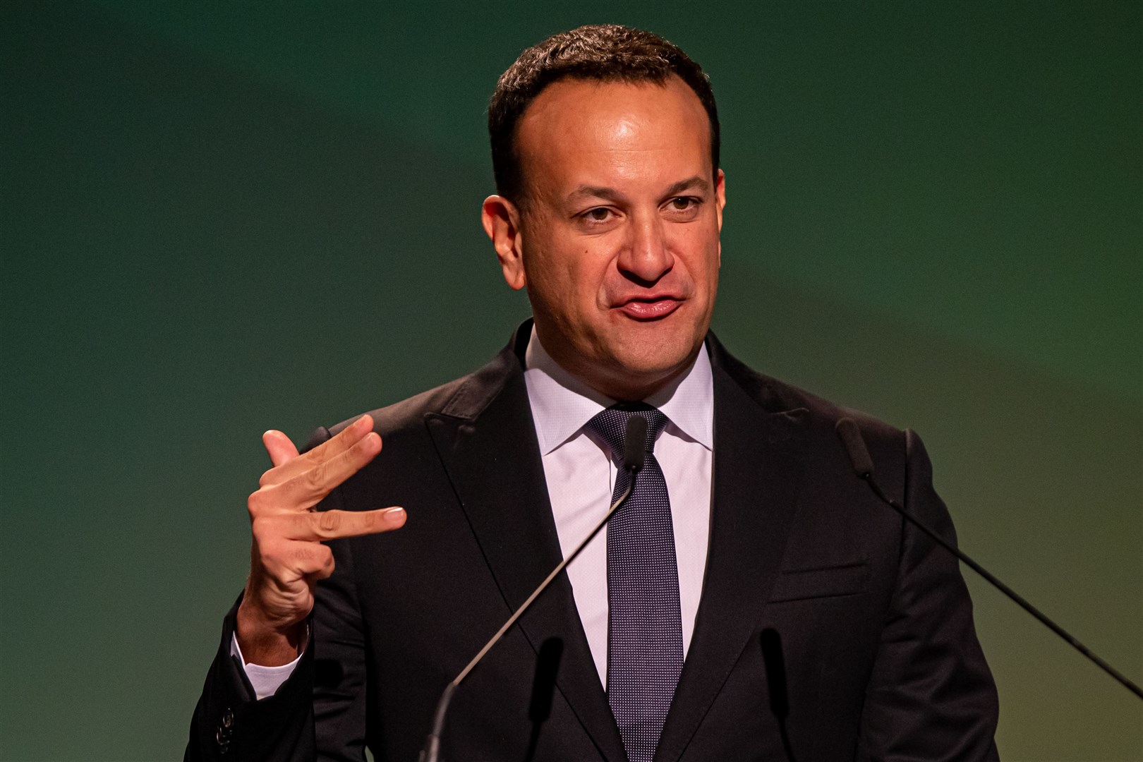 Fine Gael leader and Tanaiste Leo Varadkar is set to become taoiseach for the second time on Saturday (PA)