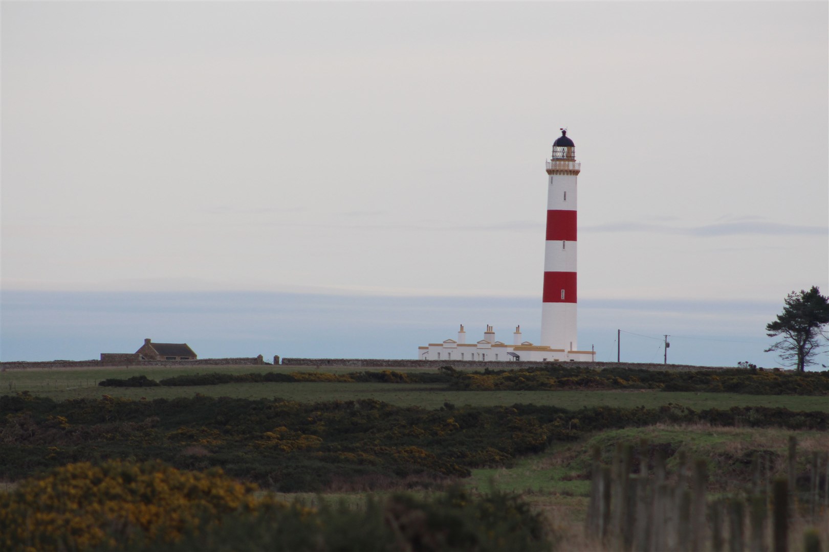 Tarbat Ness Lighthouse is a prominent landmark and a circuit can be made from Portmahomack.