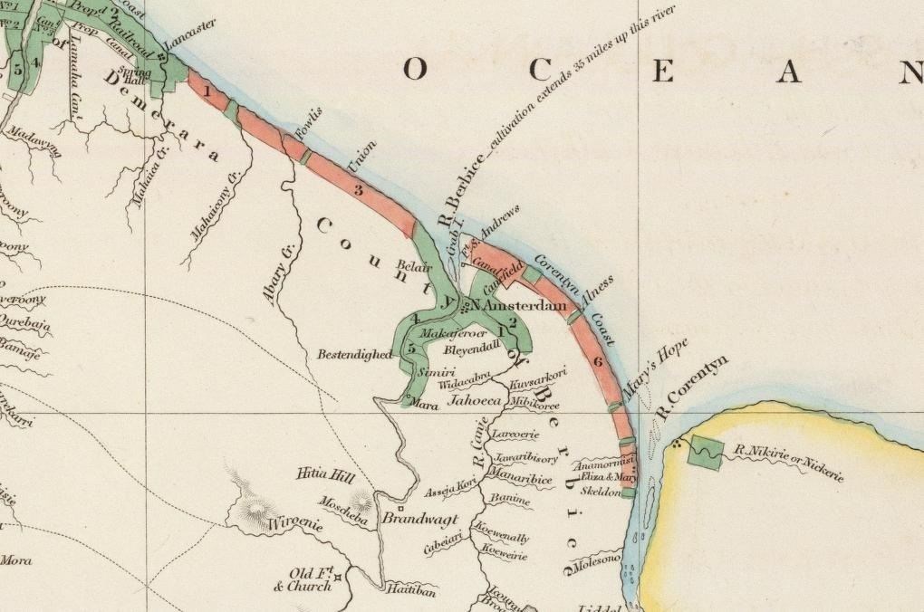 Detail from a map of "British Guiana" from 1844, showing Alness plantation.