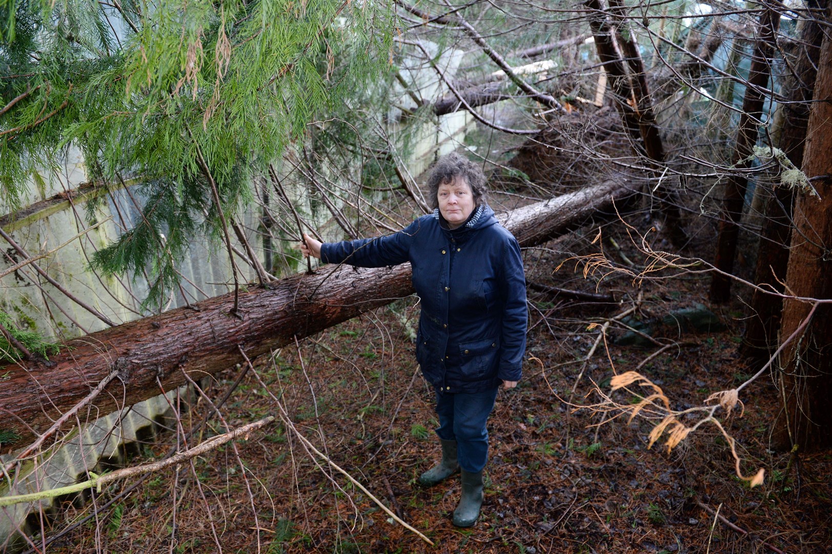 Iona Henderson of Munlochy Animal Aid at the cat run which was destoyed with several trees falling during Storm Brendan. A number of cats did a runner amidst the maelstrom. Picture: Gary Anthony