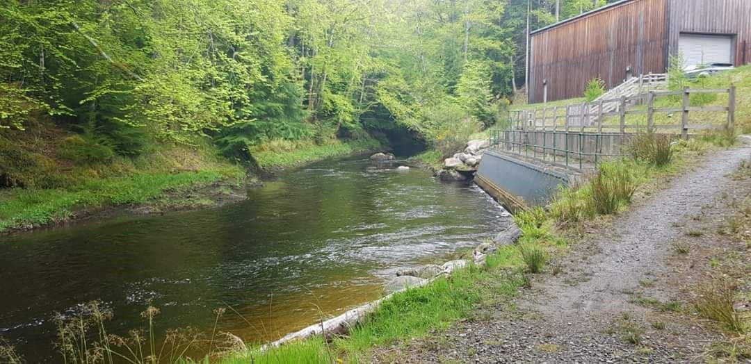 Allt Graad at Evanton is a Category 3 salmon river.