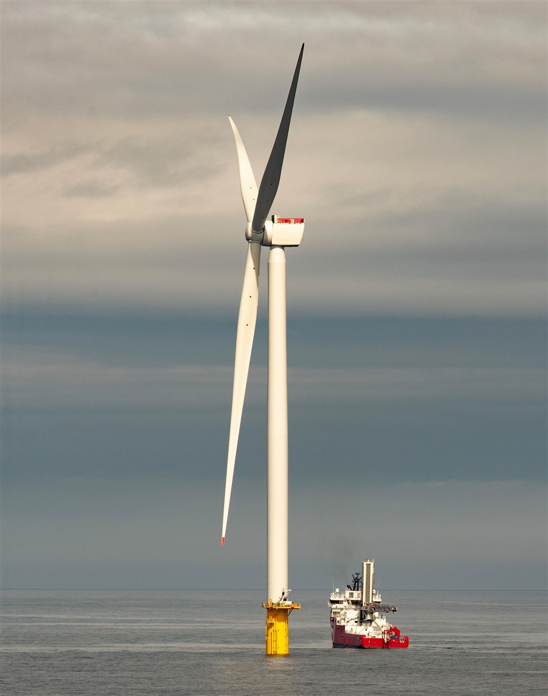 The image shows the scale of the turbines.