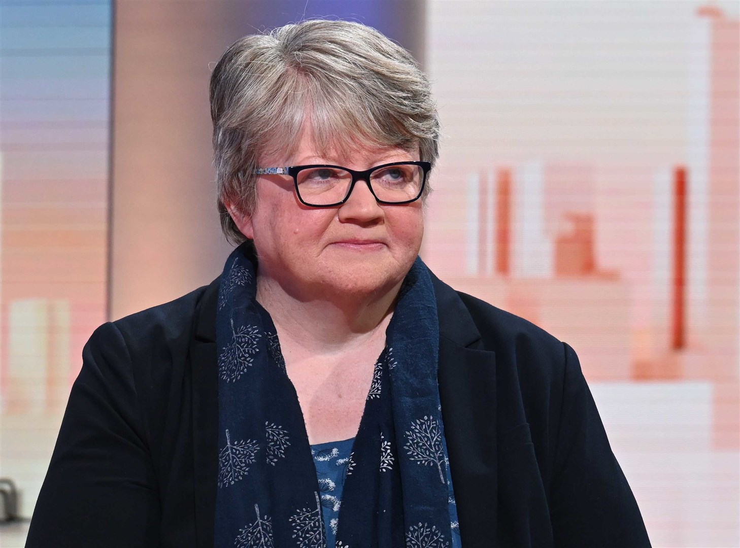Therese Coffey said the Tories must ‘show that we care about the environment’ (Jeff Overs/BBC/PA)