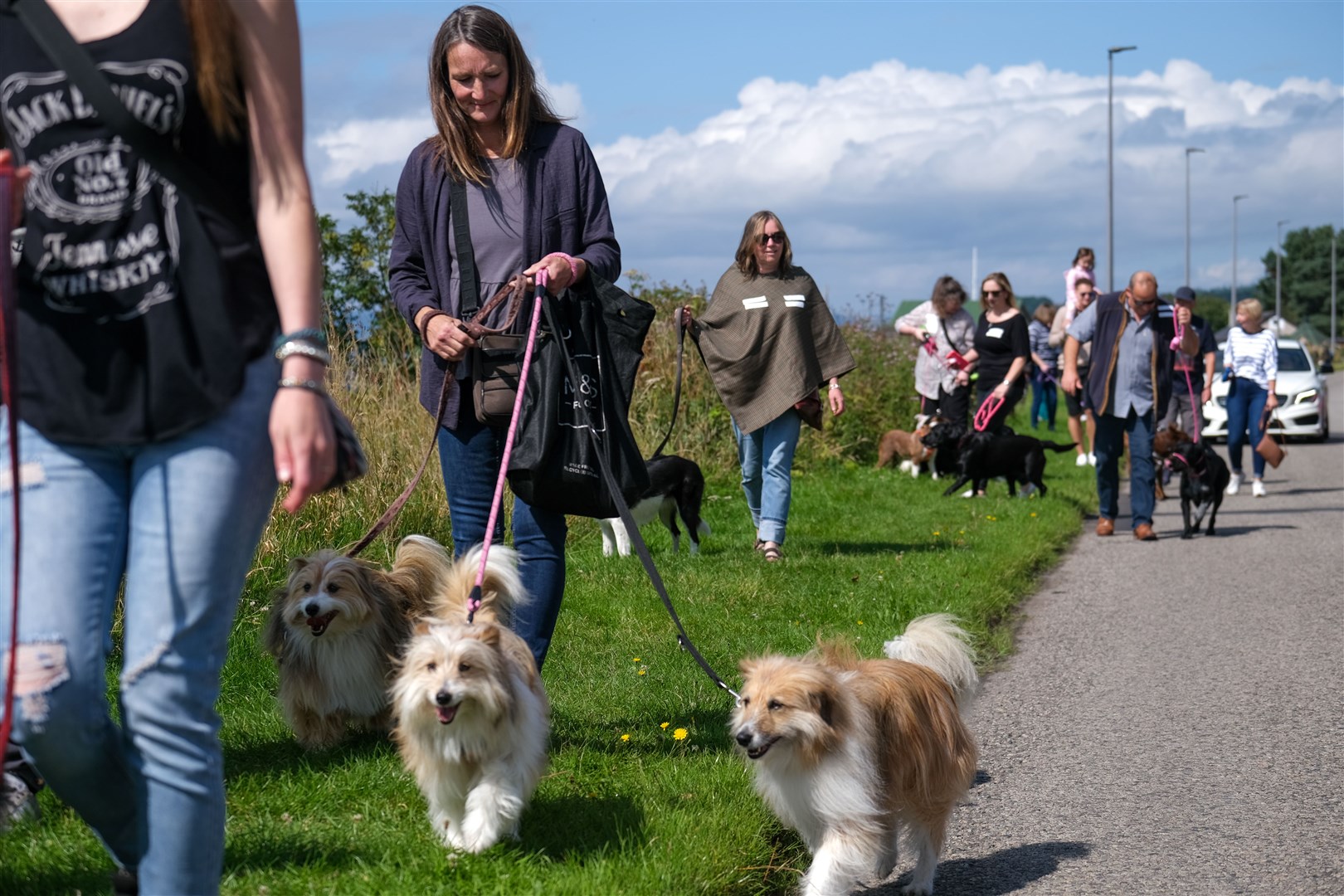 Scenes from the dog parade. Picture: Alexander Williamson.